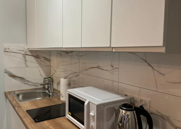 Lejlighed Coser Grzybowska *