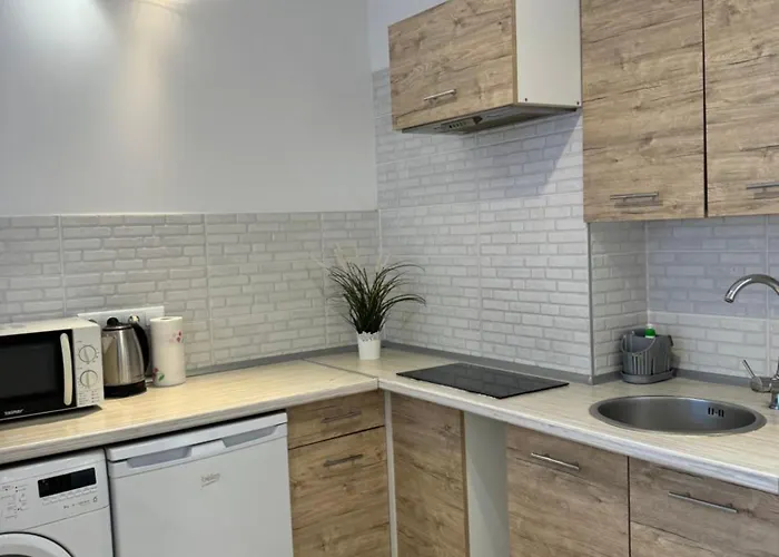 Lejlighed Coser Grzybowska *